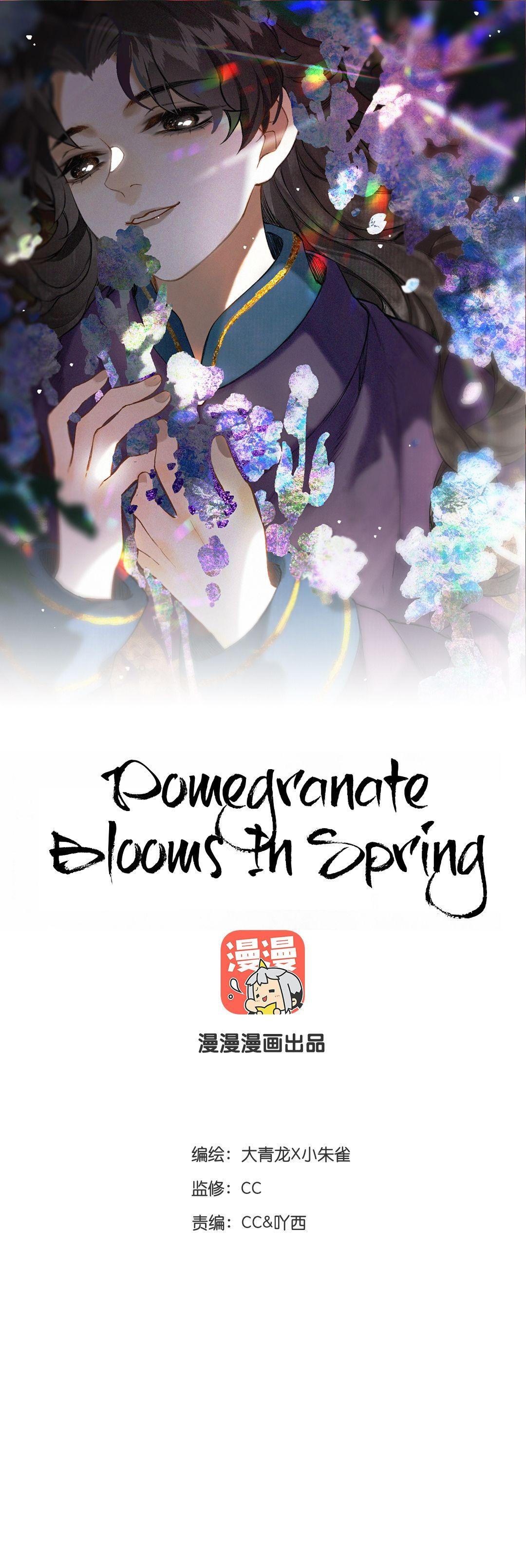 Pomegranate Blooms In Spring - Page 2