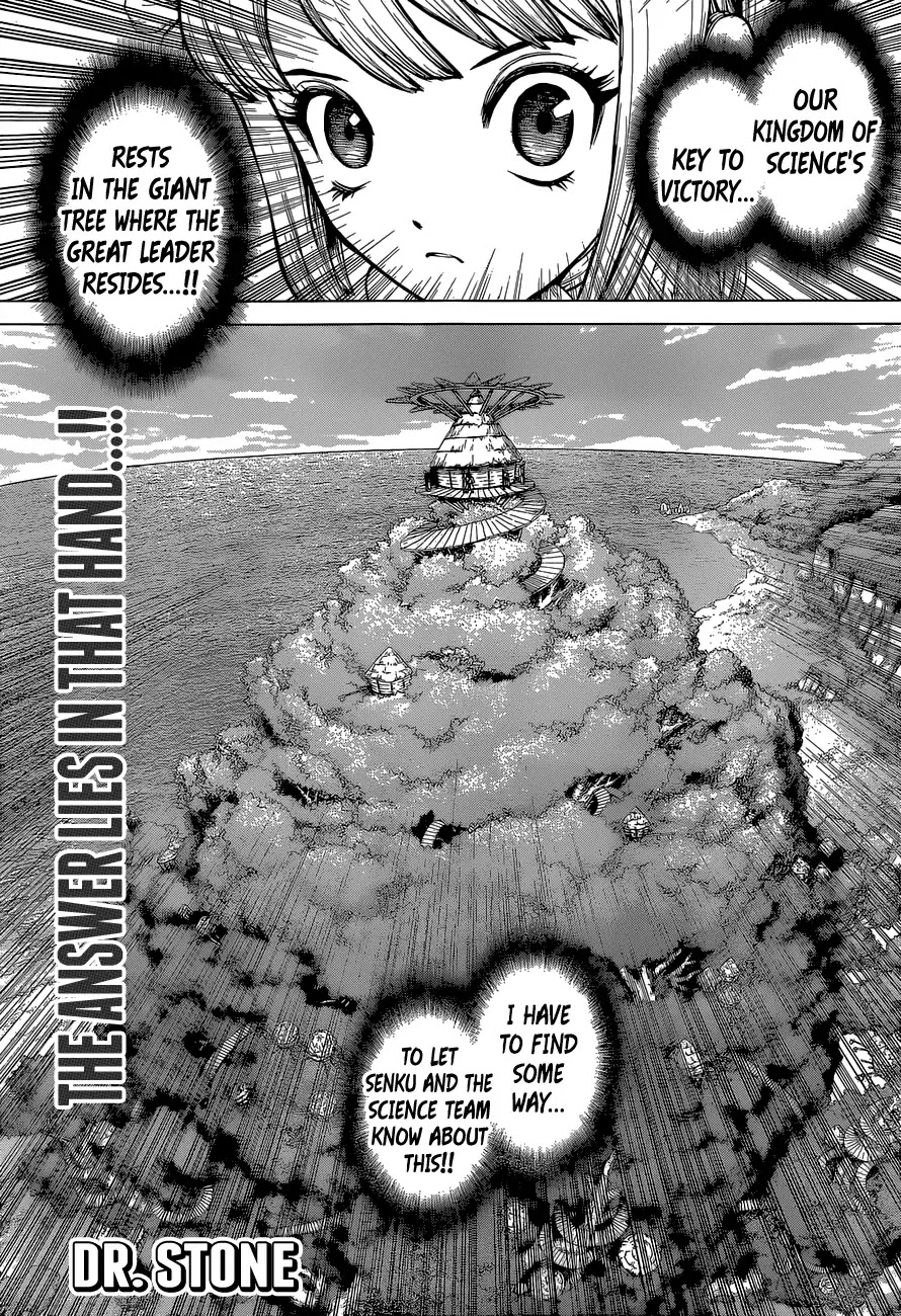 Dr. Stone Chapter 113: The Science Of Encoded Communication - Picture 1