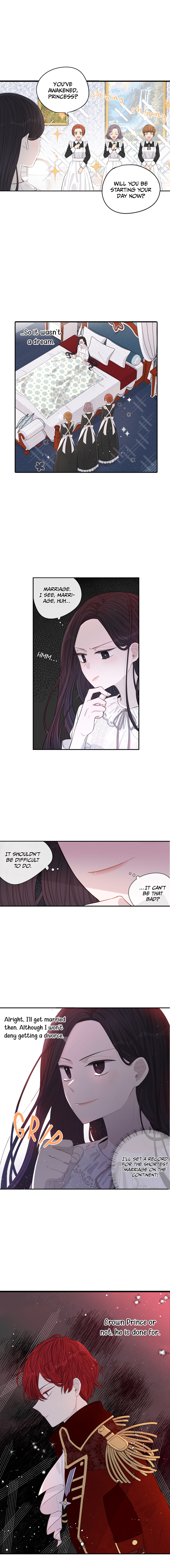 The Black Haired Princess Chapter 2 - Picture 3