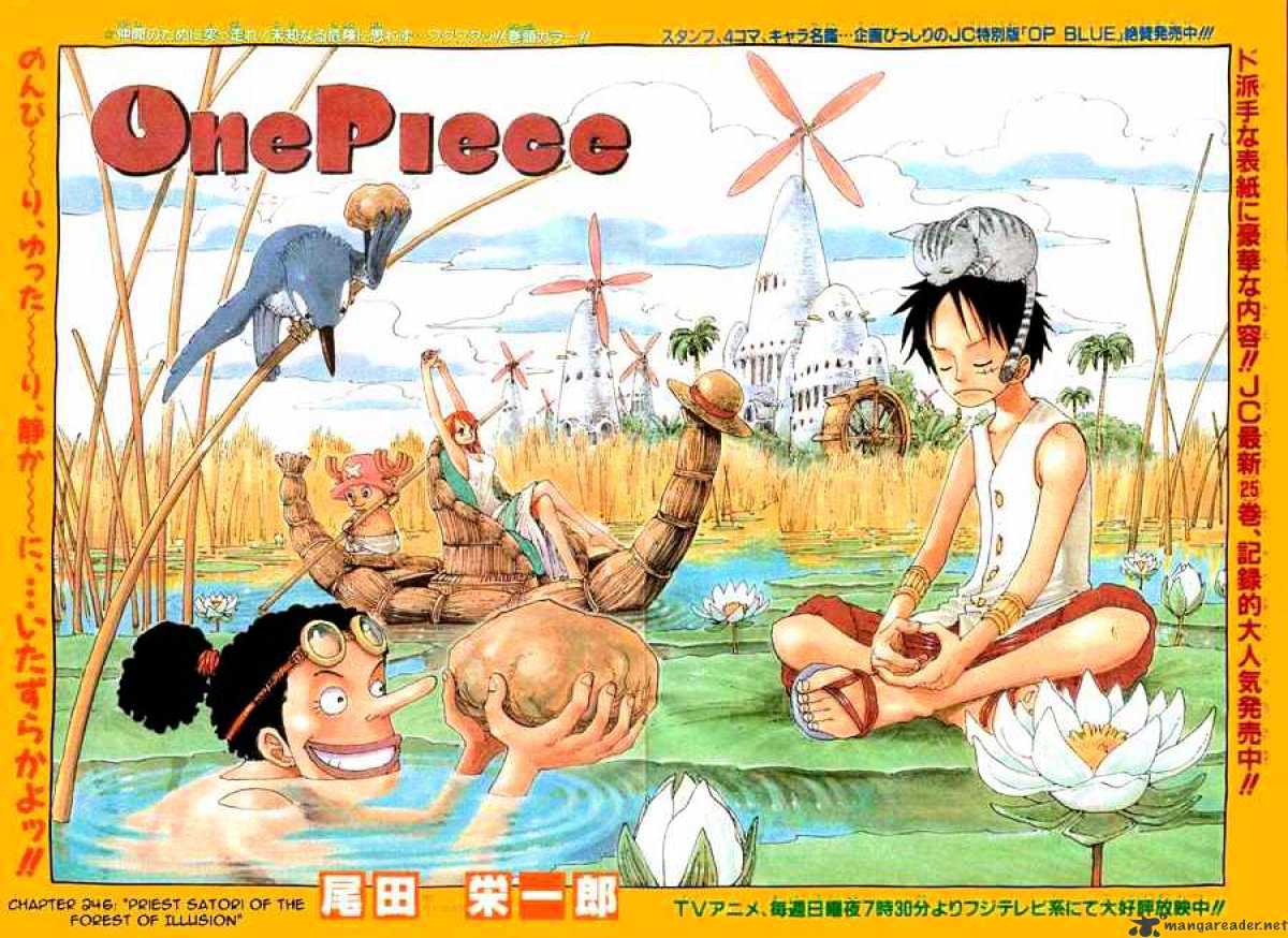 One Piece Chapter 246 : Priest Satori Of The Forest Of Illusions - Picture 1