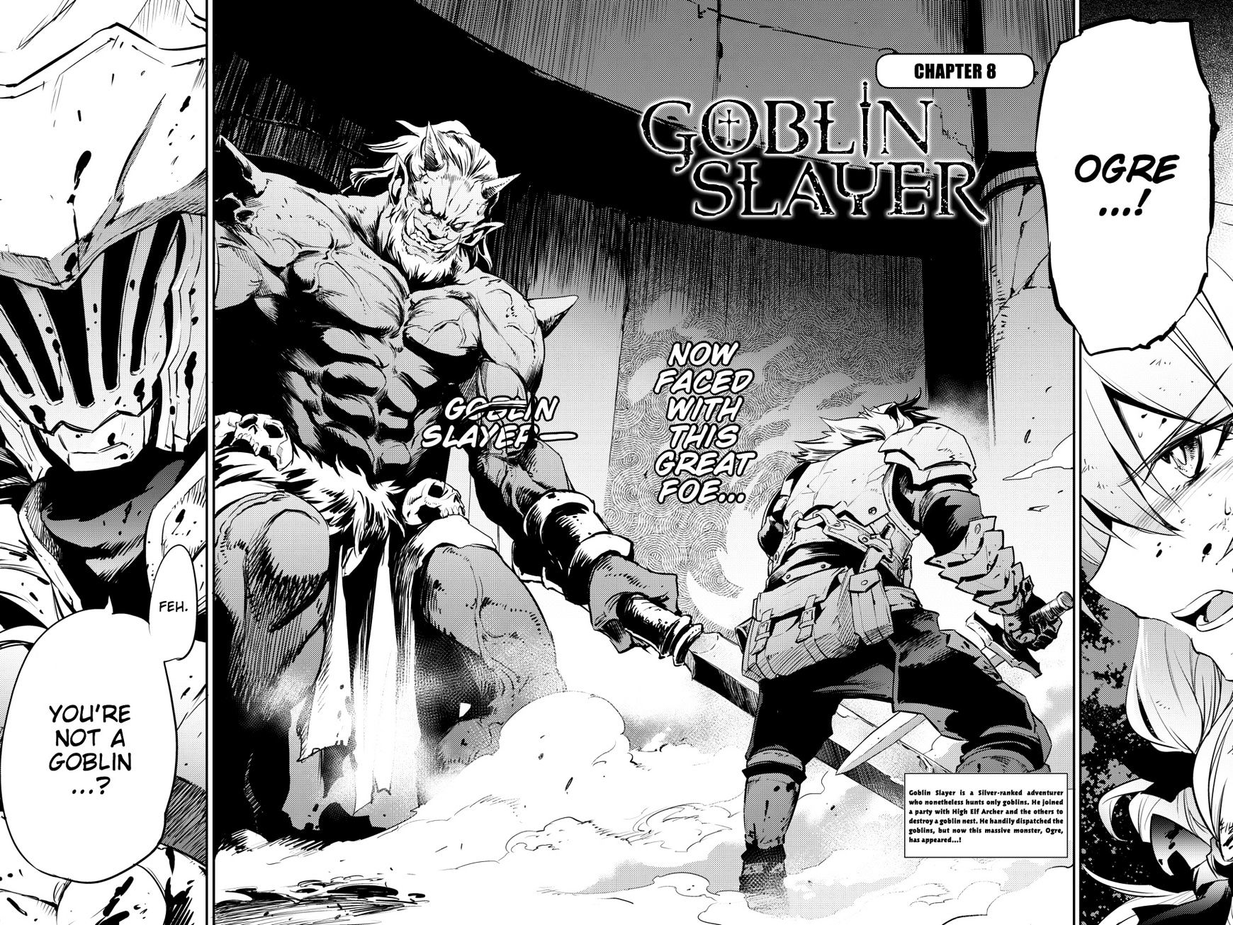 Goblin Slayer Chapter 8 : Goblin Slayer 8 - Picture 3