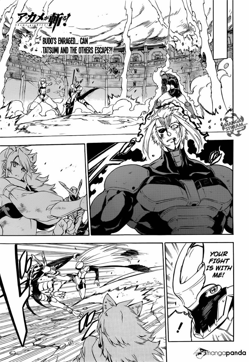 Akame Ga Kill! Chapter 56 : Kill The Great General - Picture 1