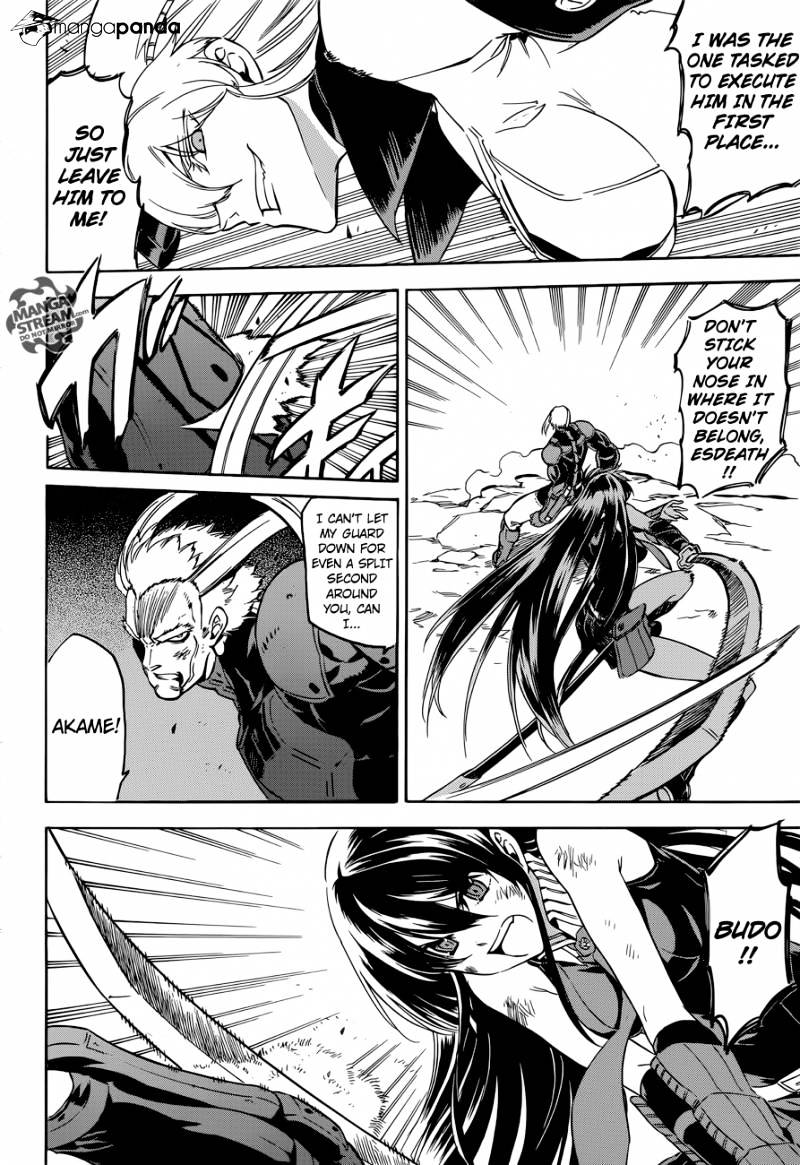 Akame Ga Kill! Chapter 56 : Kill The Great General - Picture 3