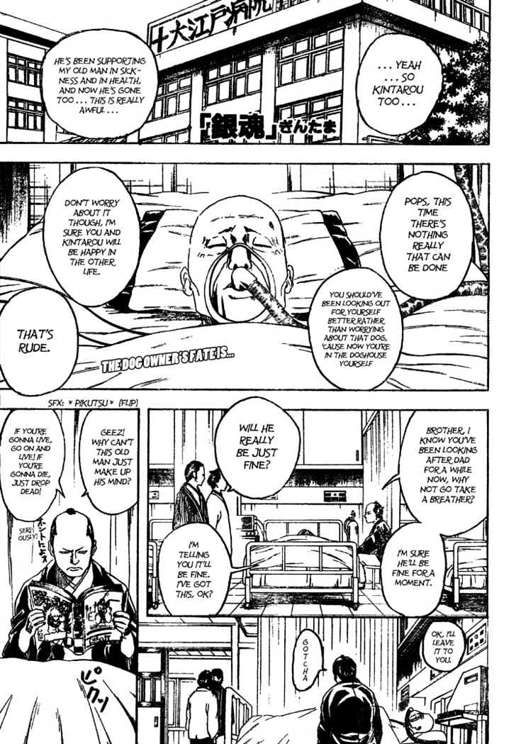 Gintama Chapter 208 : Cat Owners And Dog Owners Never See Eye To Eye - Picture 1