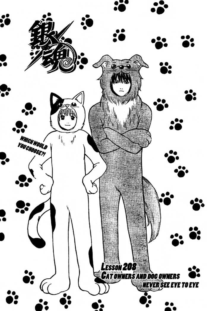 Gintama Chapter 208 : Cat Owners And Dog Owners Never See Eye To Eye - Picture 3