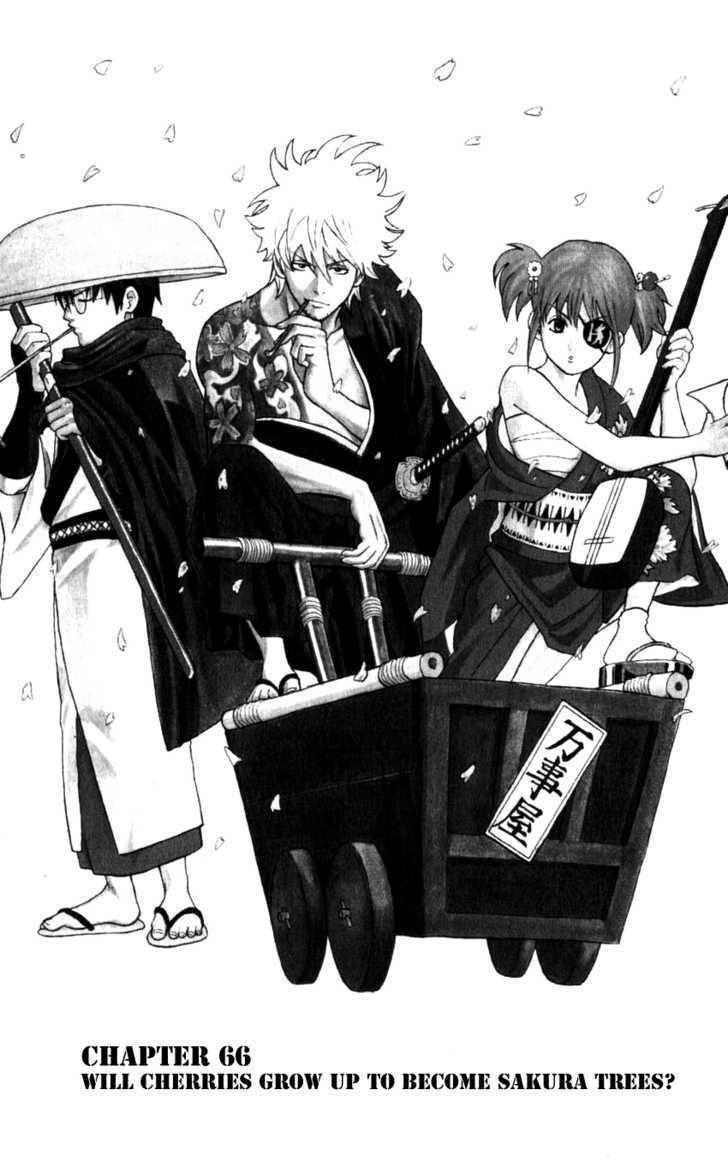 Gintama Chapter 66 : Will Cherries Grow Up To Become Sakura Trees? - Picture 2