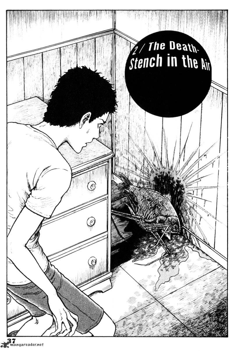 Gyo Chapter 2 : The Death Stench In The Air - Picture 2