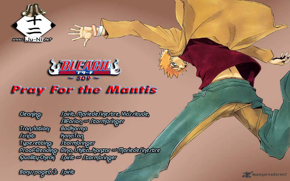 Bleach Chapter 309 : Pray For The Mantis - Picture 1