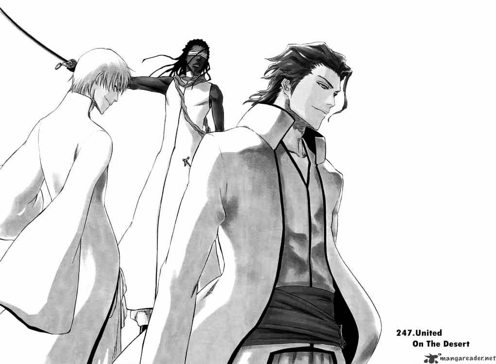 Bleach Chapter 247 : United On The Desert - Picture 3