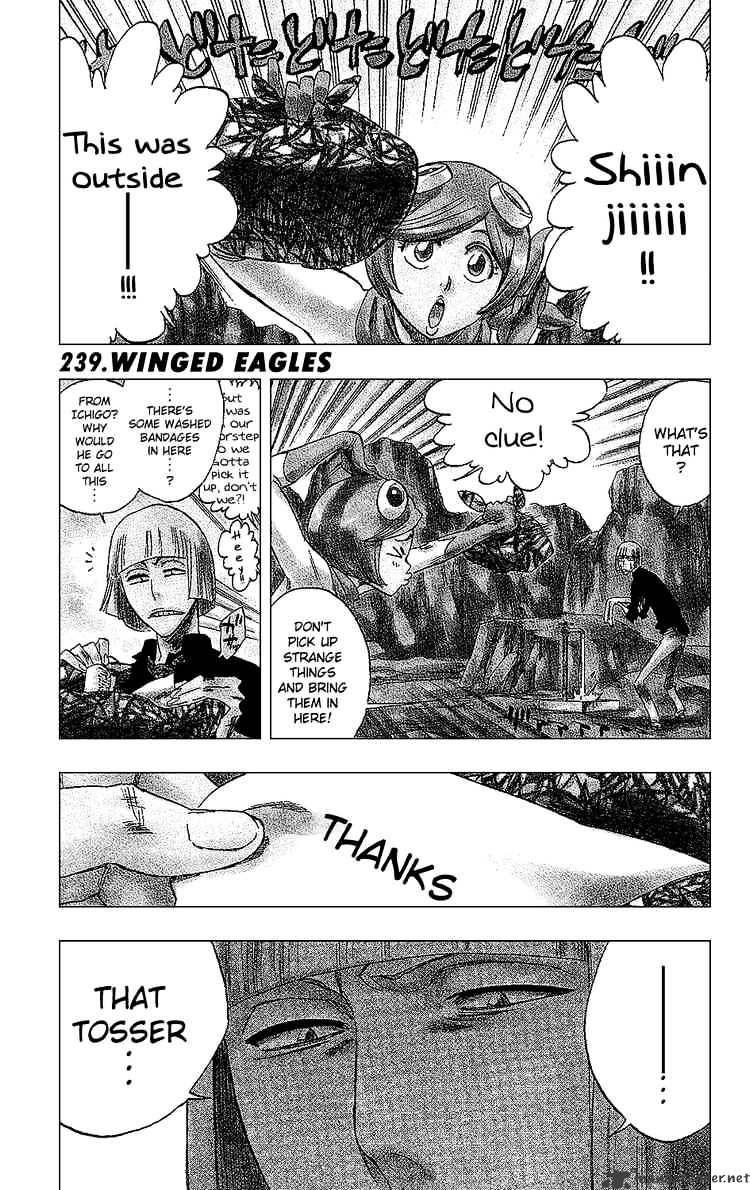 Bleach Chapter 239 : Winged Eagles - Picture 1