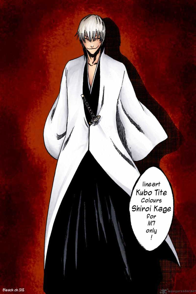 Bleach Chapter 221 : Let Eat The World's End - Picture 1