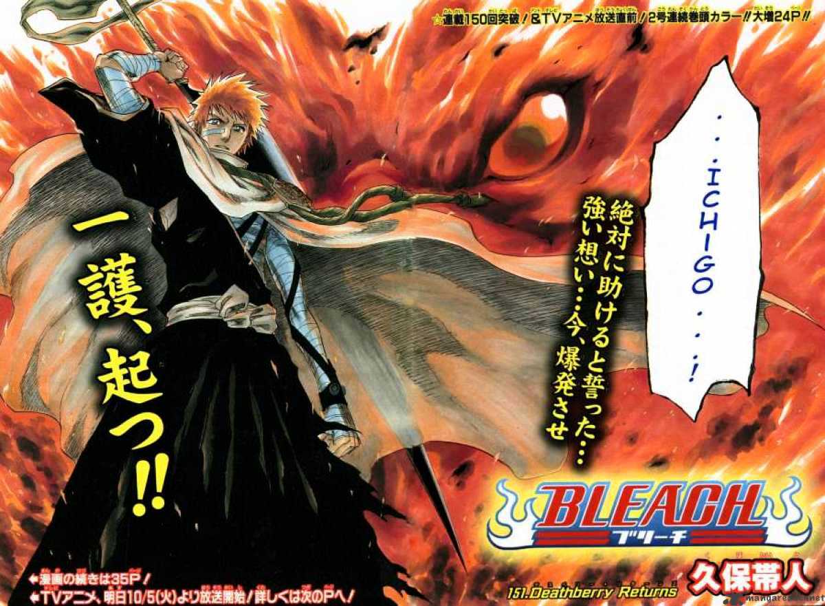 Bleach Chapter 151 : Deathberry Returns - Picture 3