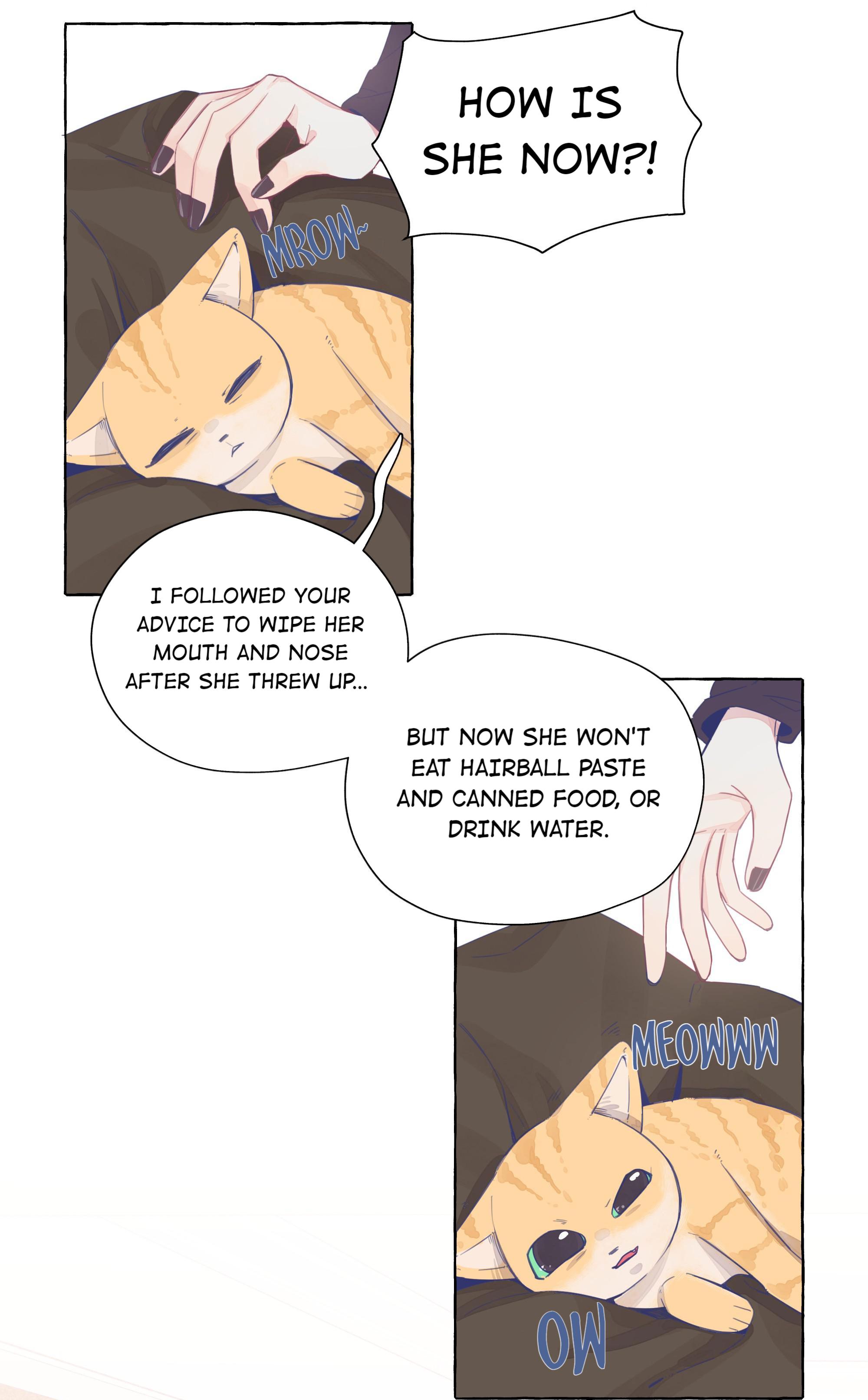 Straight Girl Trap Chapter 24.5: Emergency At Midnight - Picture 3