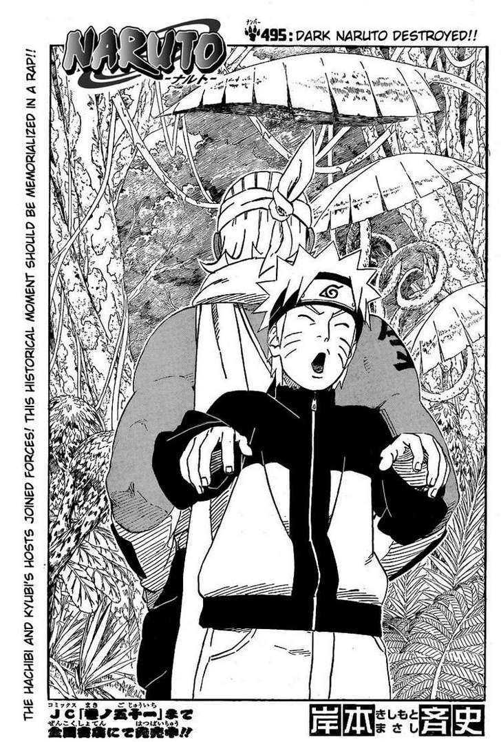 Naruto Vol.53 Chapter 495 : Dark Naruto Destroyed!! - Picture 1