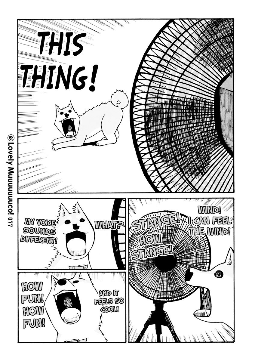 Itoshi No Muco Vol.1 Chapter 10 : 10Thbarking : Heat! - Picture 3